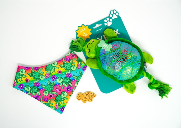 Ocean Fun 🦈 / 8 count