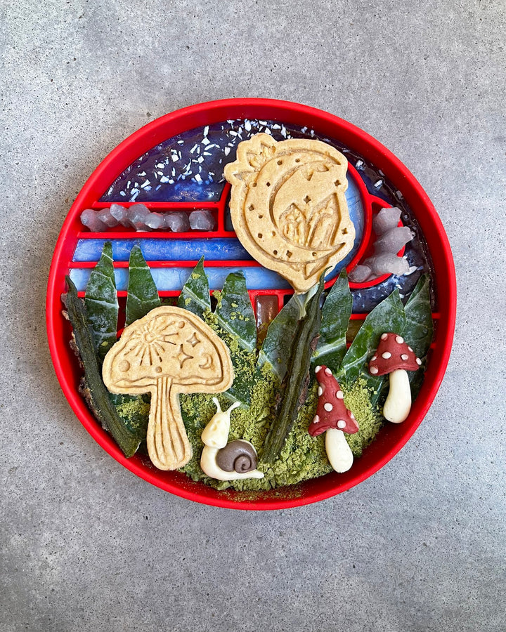 Fairytale Magic 🔮 / 5 count