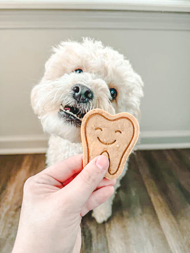 Winston's TEEF 🦷 / 4 count