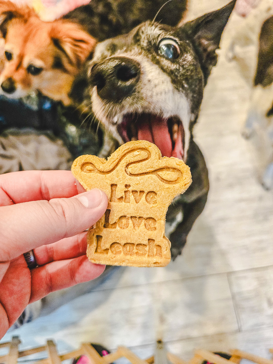 Fur-Ever 💕 / 4 count