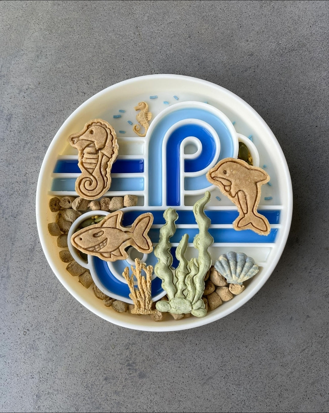 Ocean Fun 🦈 / 8 count