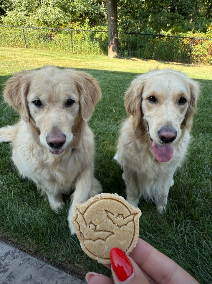 All Hallows Eve 🌙 / 8 count