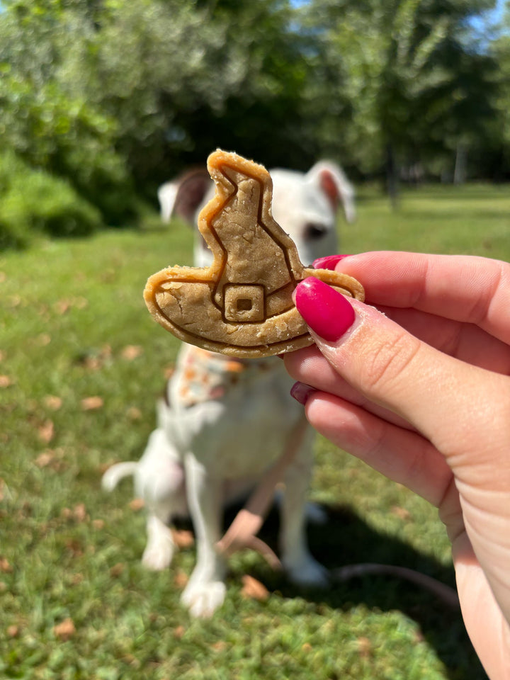 Bewitched 🧹 / 8 count