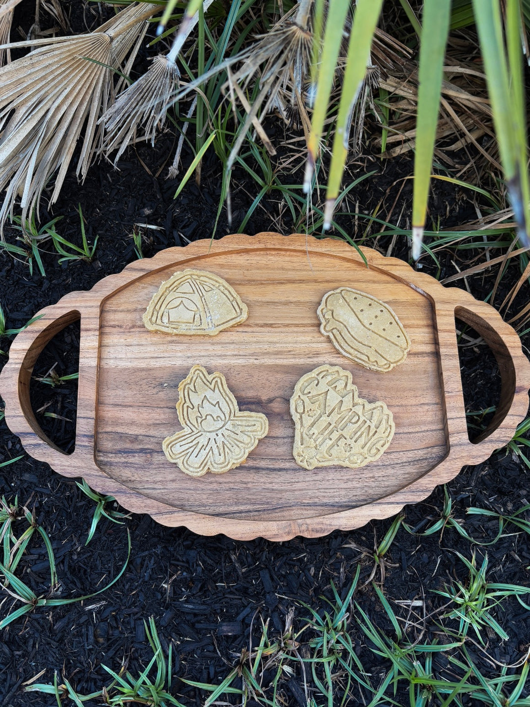 Let's Camp 🏕 / 4 count