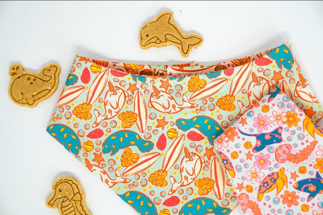 Ocean Fun 🦈 / 8 count