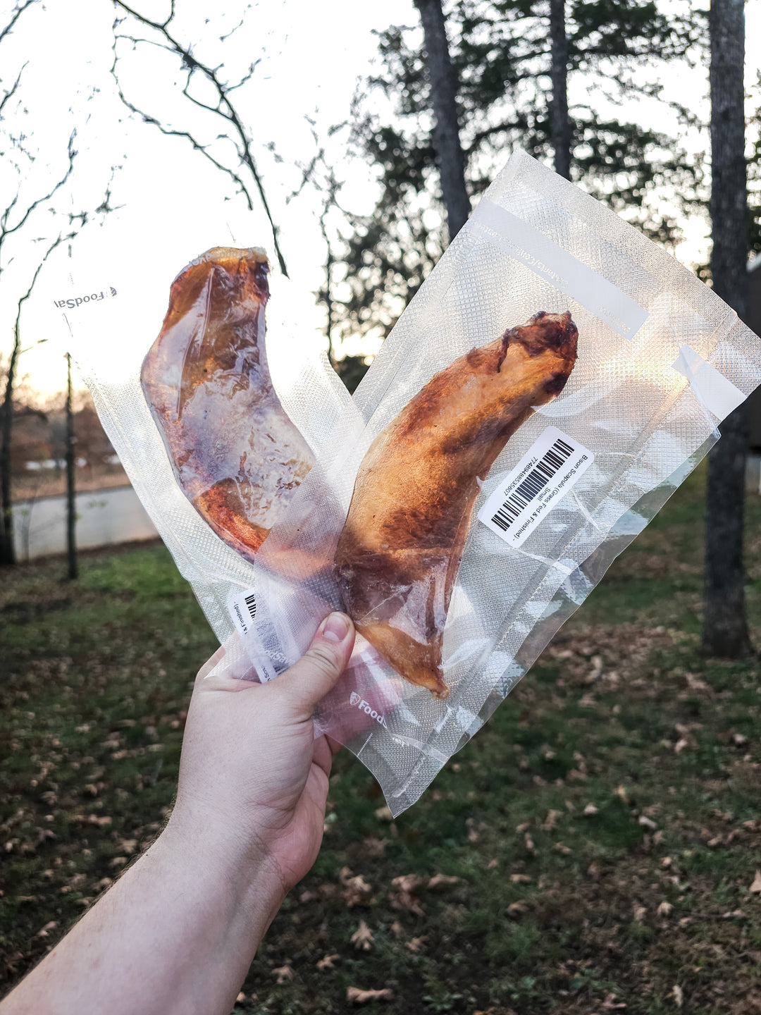 Naked Beasts Snacks - Bison Scapula 🦬 / S or L