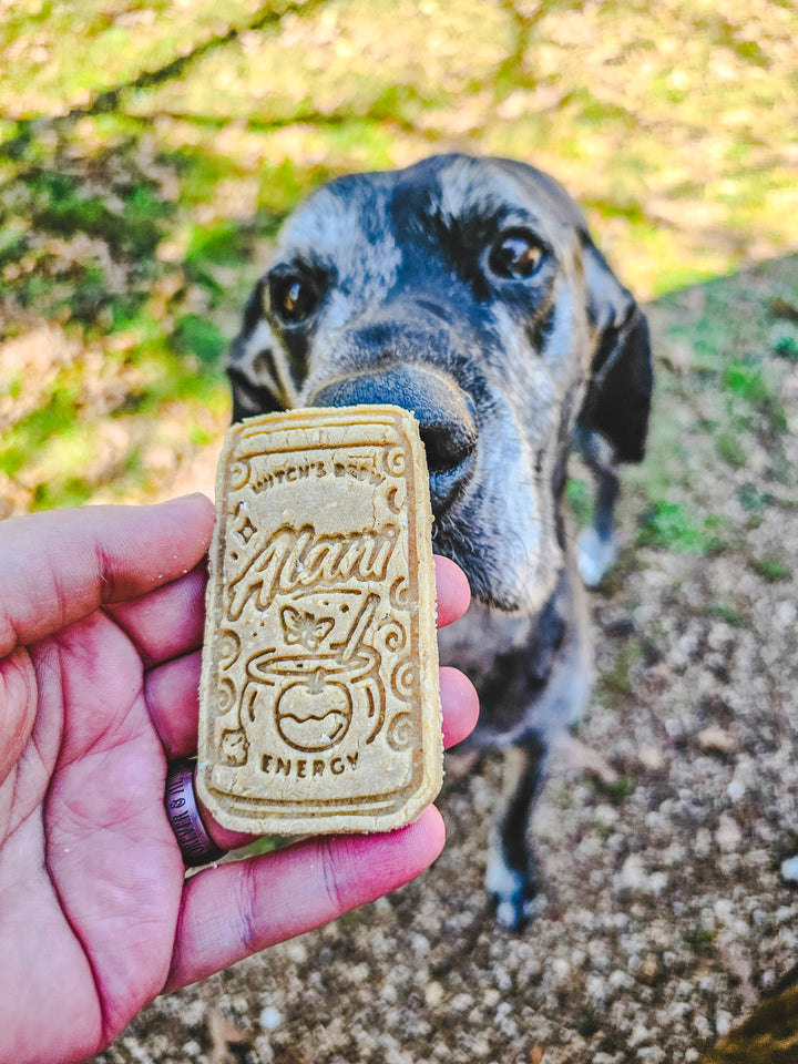 Witch's Brew Bites 🧙‍♀️ / 2 count