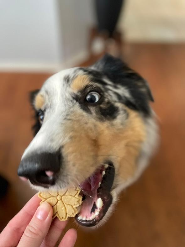 Bouquet 💐 / 8 count