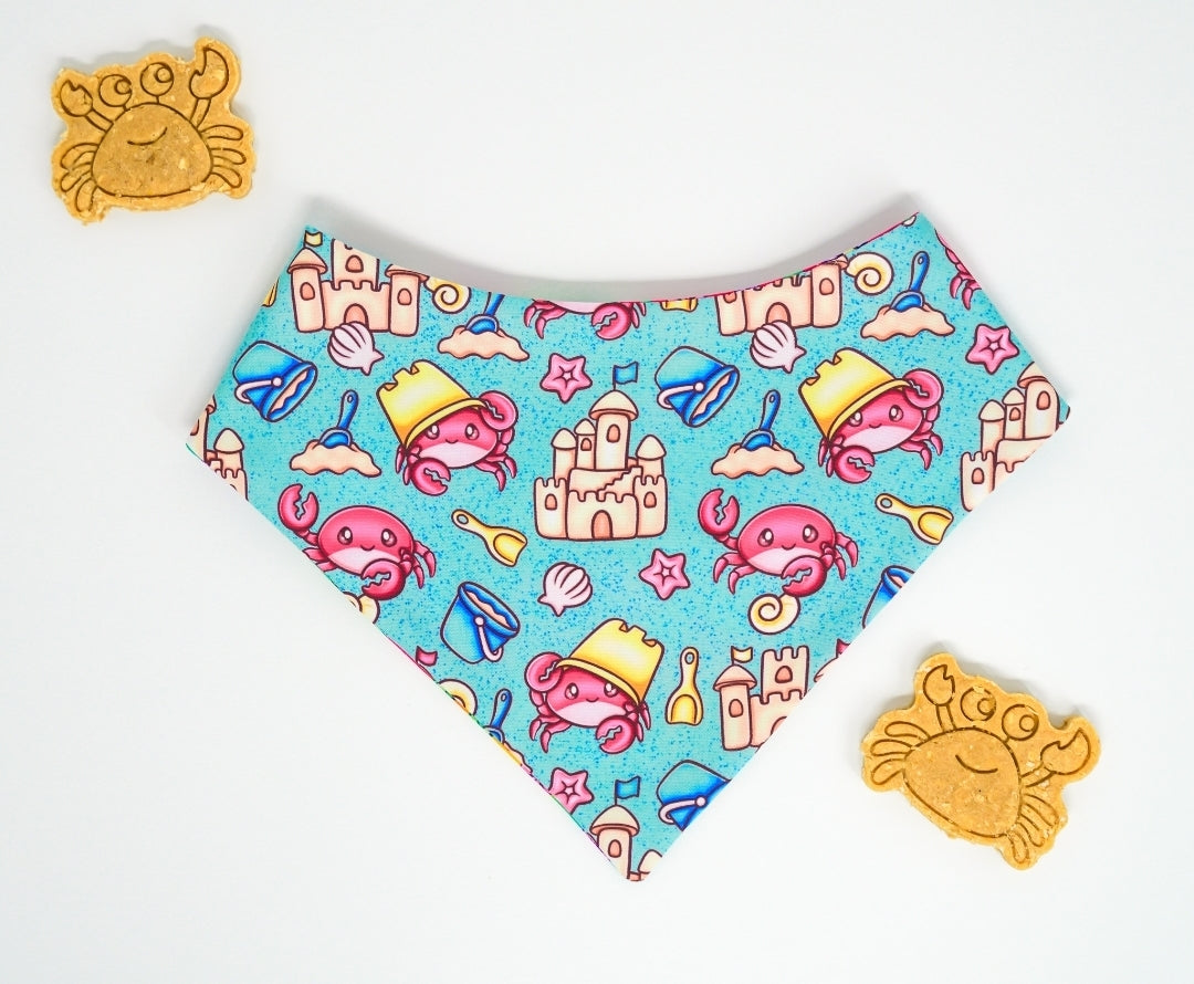 Ocean Fun 🦈 / 8 count