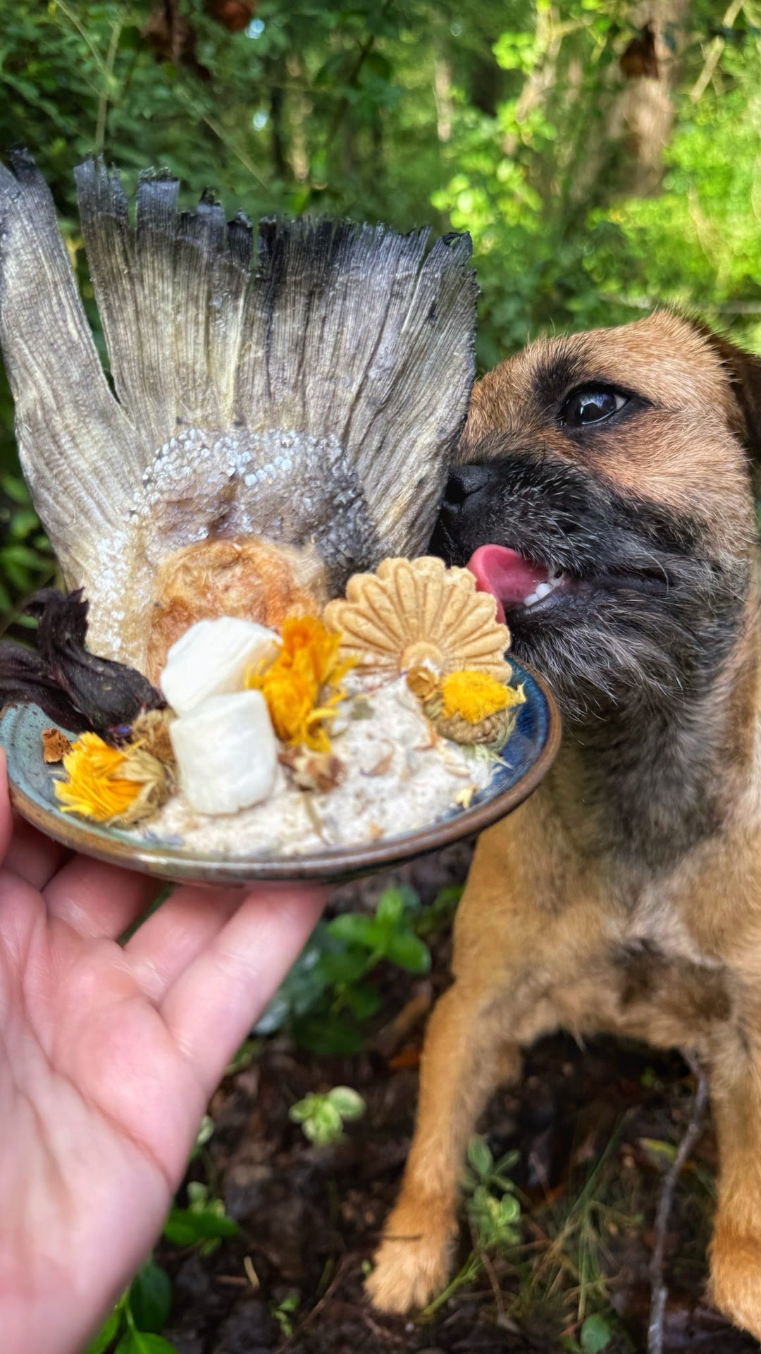 Bouquet 💐 / 8 count