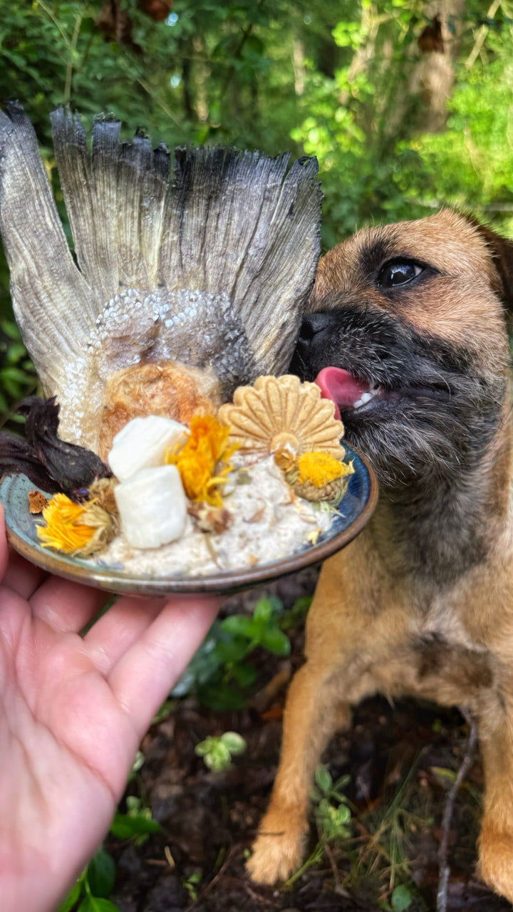 Bouquet 💐 / 8 count