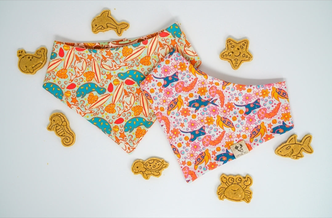 Ocean Fun 🦈 / 8 count