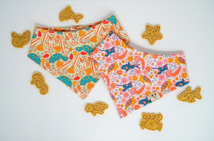 Ocean Fun 🦈 / 8 count