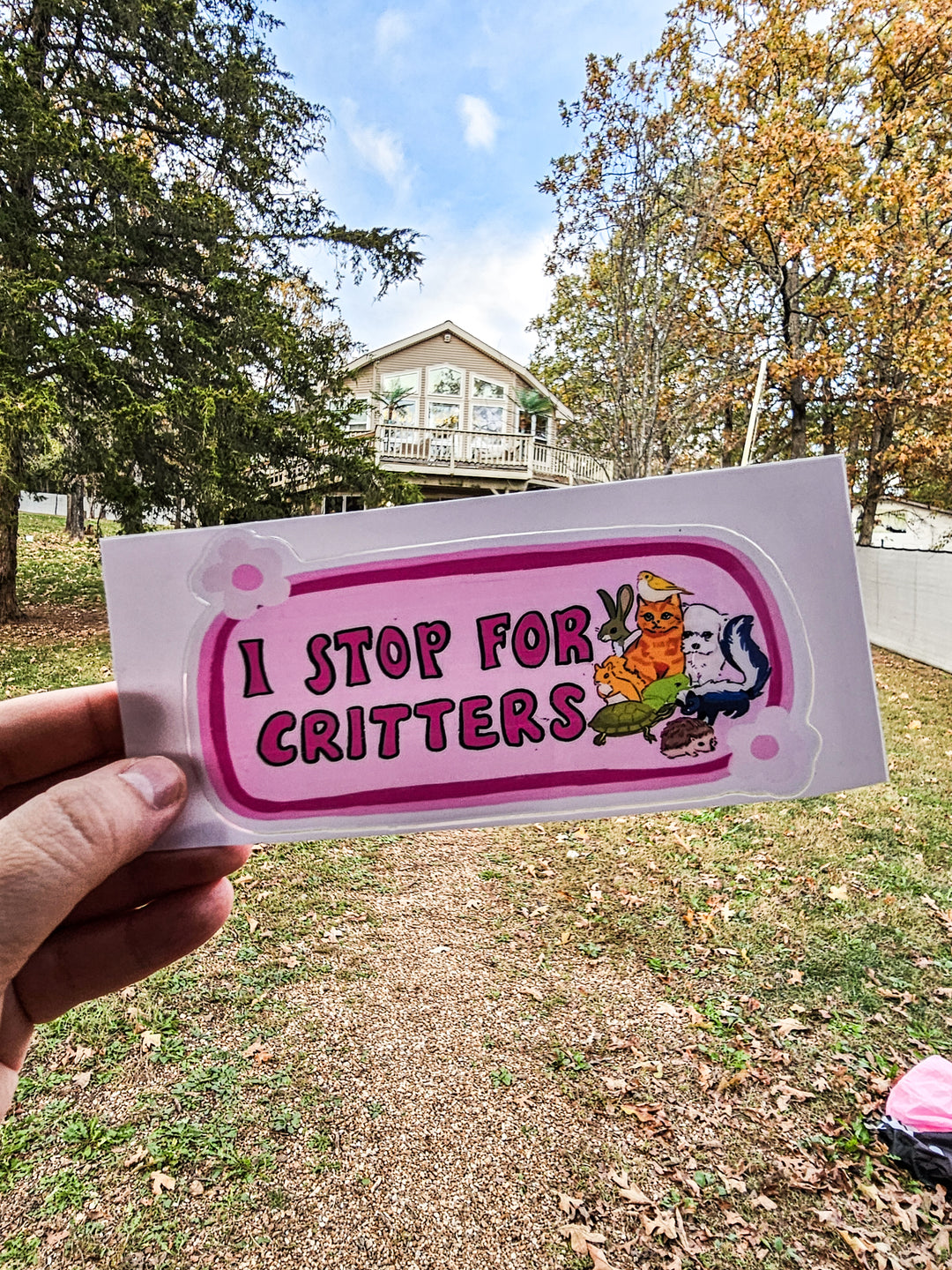 I Stop For Critters Bumper Sticker 🐰