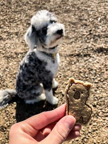 At The Zoo 🦏 / 8 count