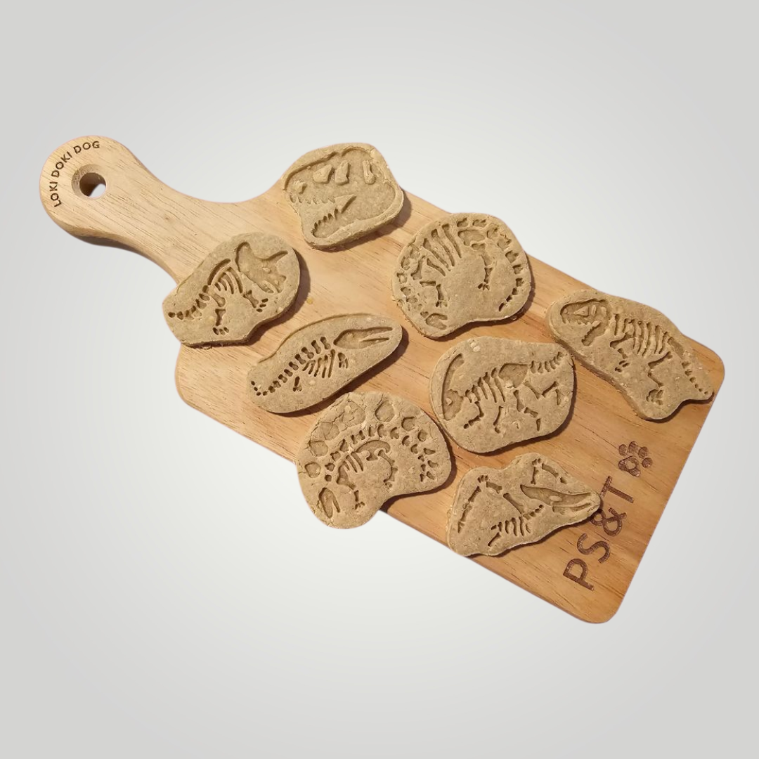 Dino Dig 🦕 / 8 count