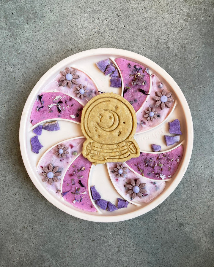 Fairytale Magic 🔮 / 5 count