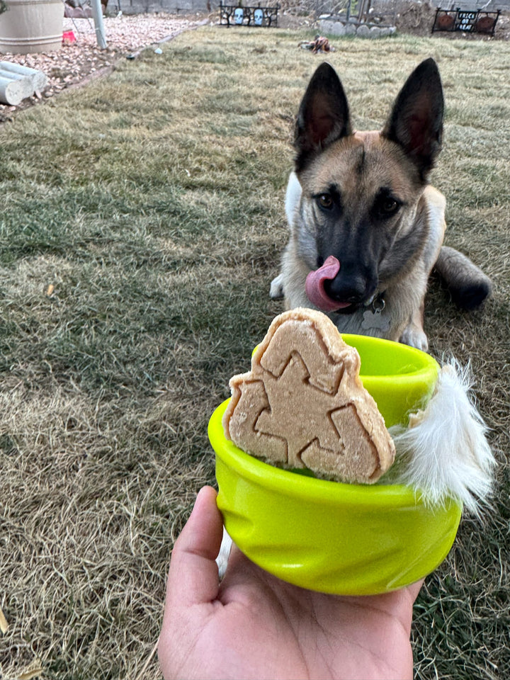 Rewoof Recycle ♻️ / 4 count