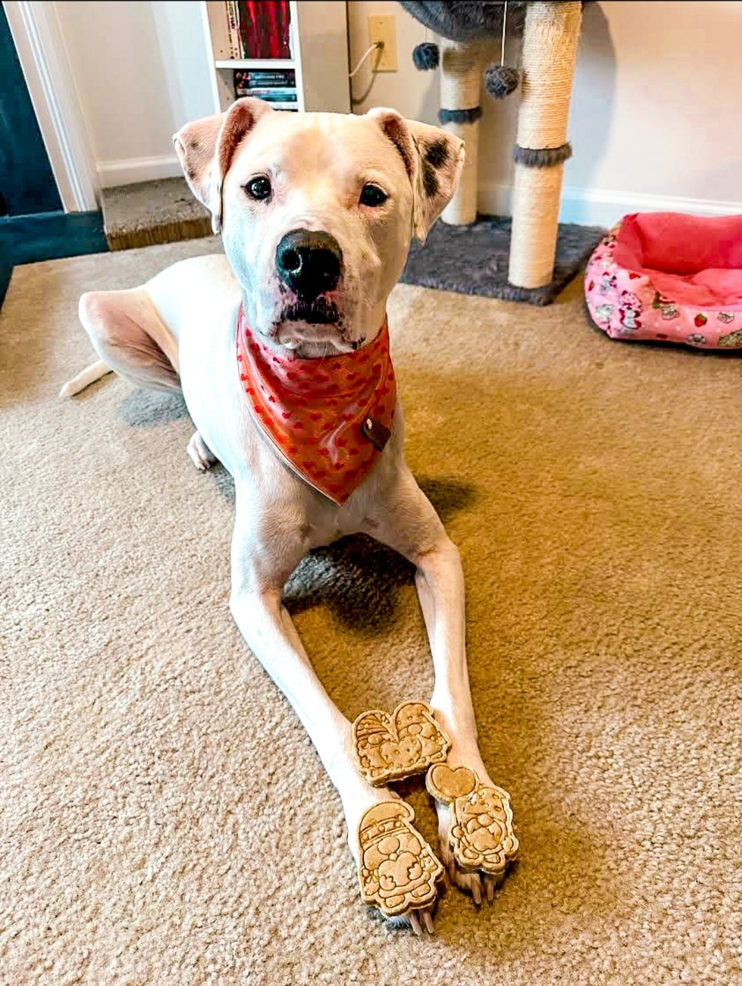 Gnomeo & Juliet ❤️ / 4 count