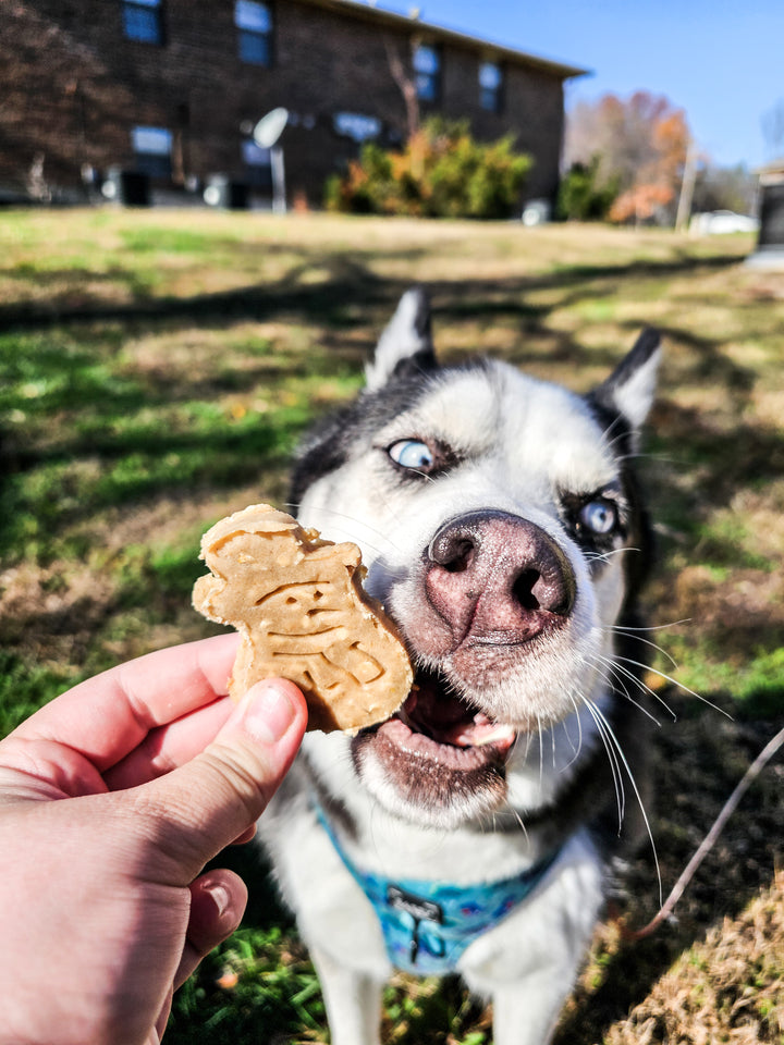 Santa’s Favorites 🎅 / 4 count