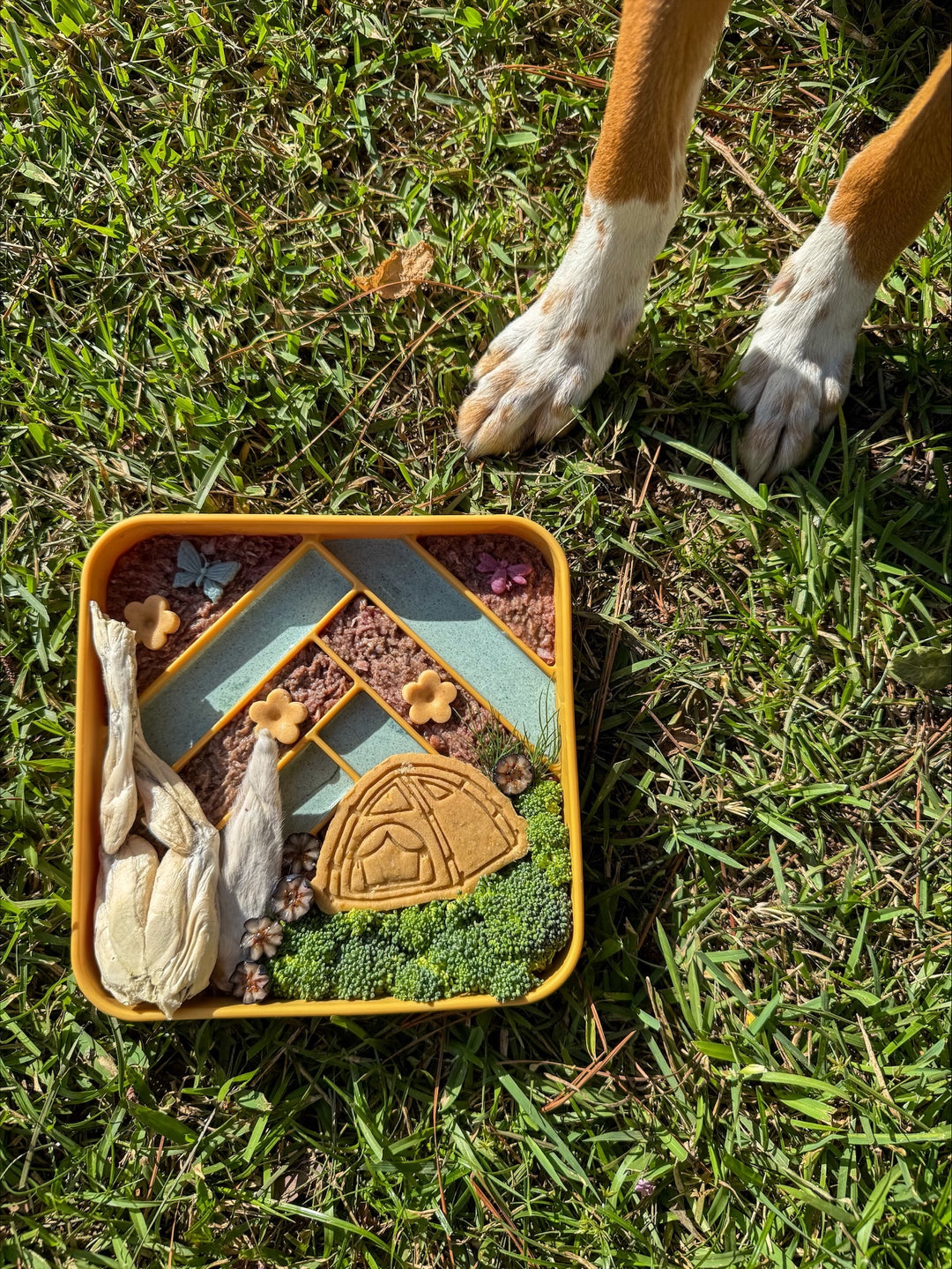 Let's Camp 🏕 / 4 count