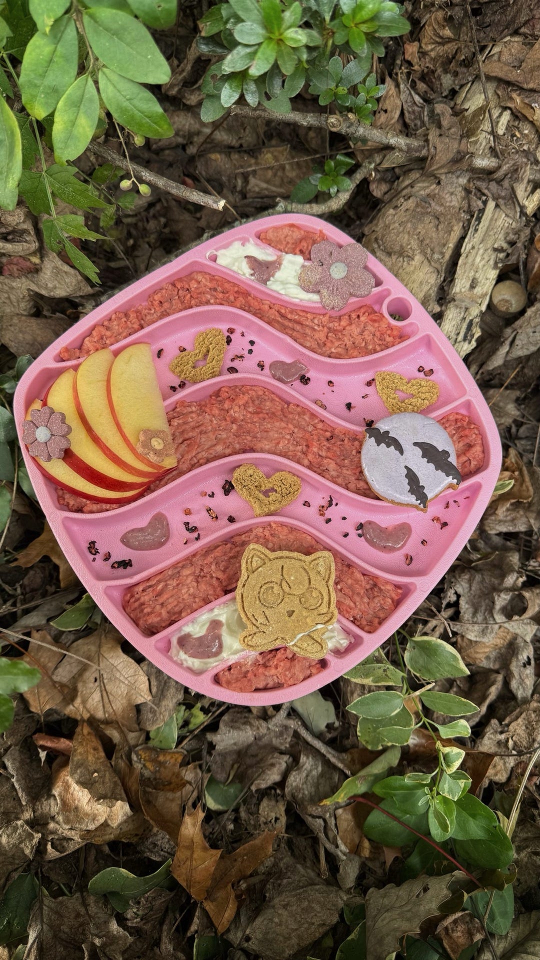 Gotta Chew Em All 🐾 / 8 count