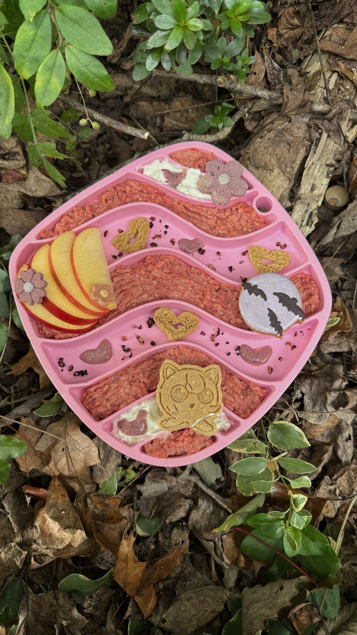 Gotta Chew Em All 🐾 / 8 count