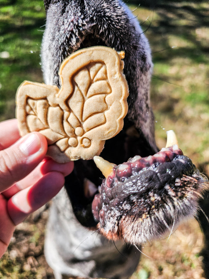 Santa’s Favorites 🎅 / 4 count