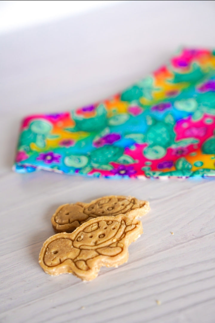 Ocean Fun 🦈 / 8 count