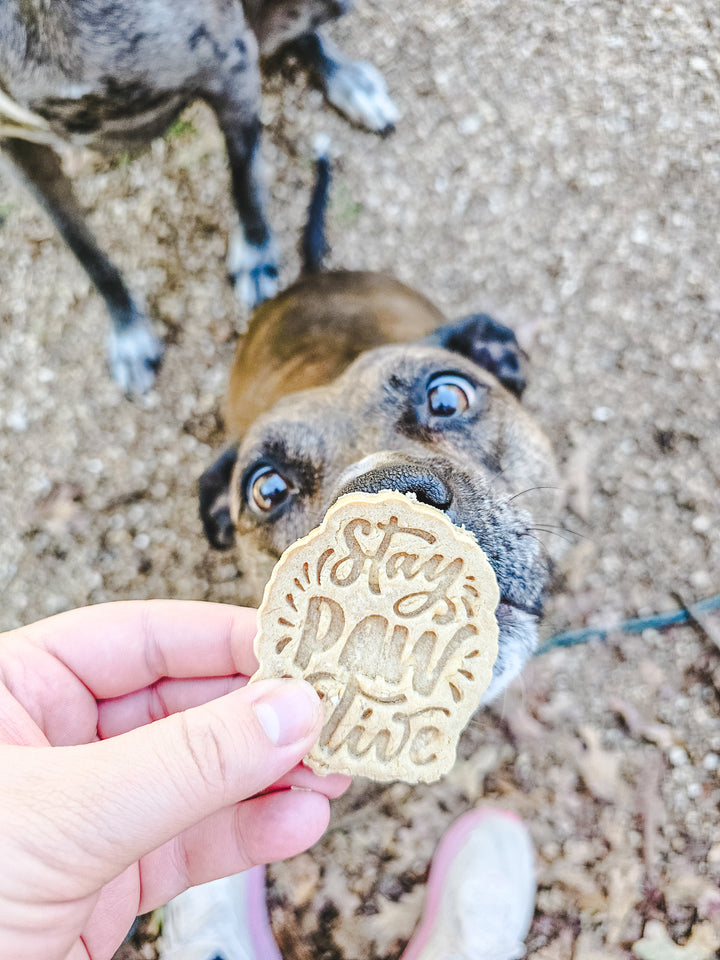 Fur-Ever 💕 / 4 count