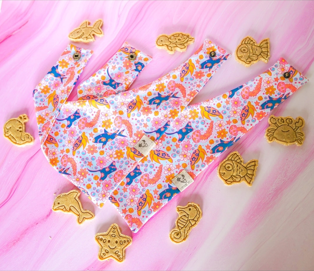 Ocean Fun 🦈 / 8 count