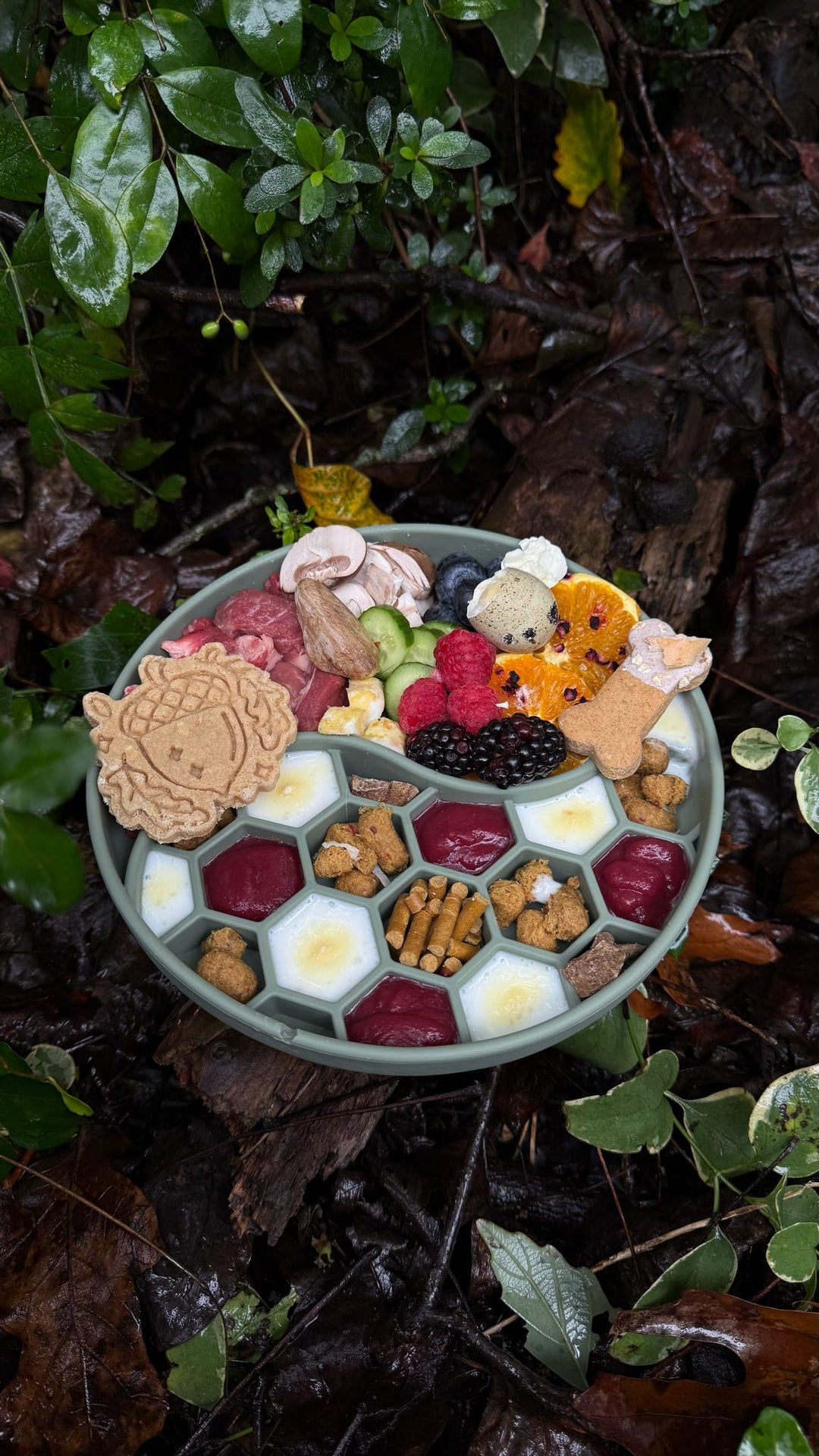 Enchanted Forest ✨️ / 4 count