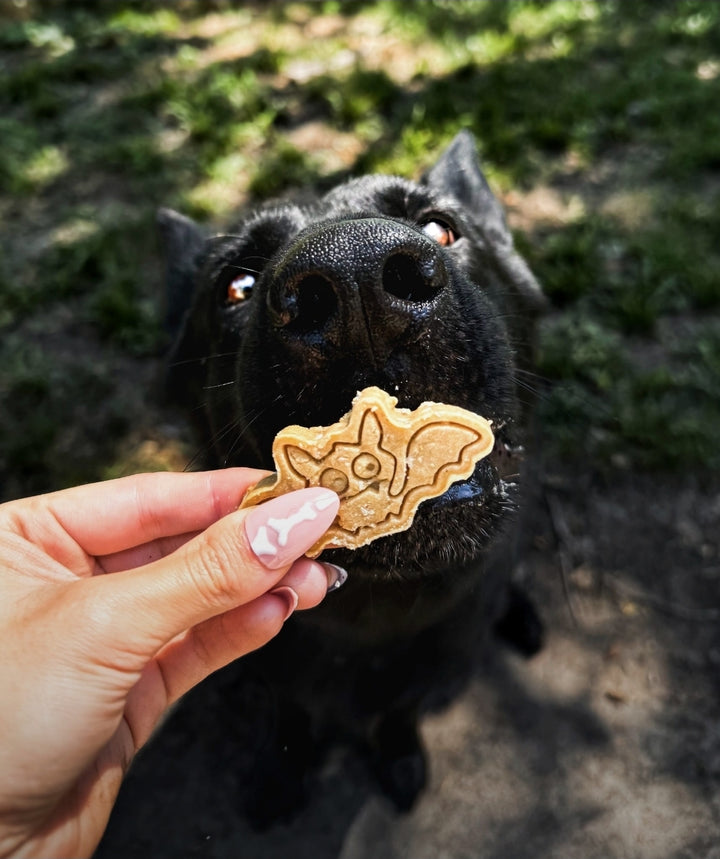 It's Freakin Bats 🦇 / 10 count