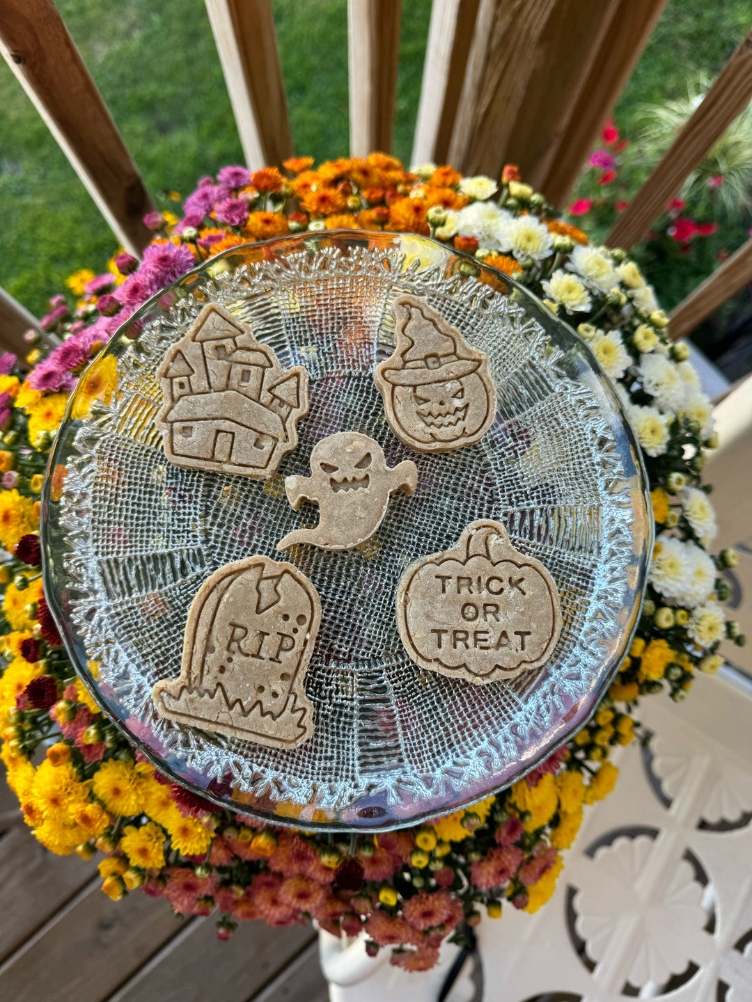 Totally Haunted 👻 / 6 count