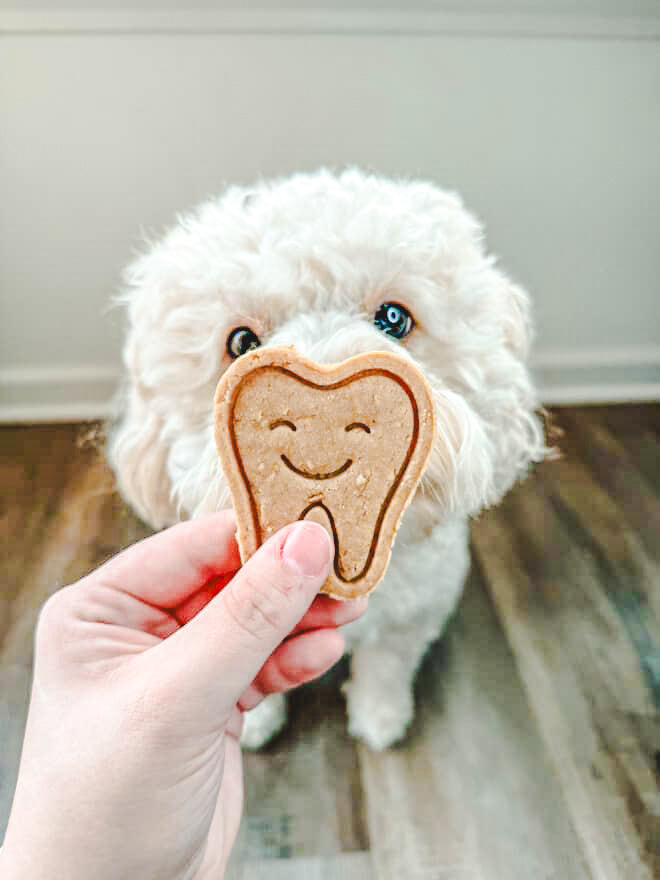 Winston's TEEF 🦷 / 4 count