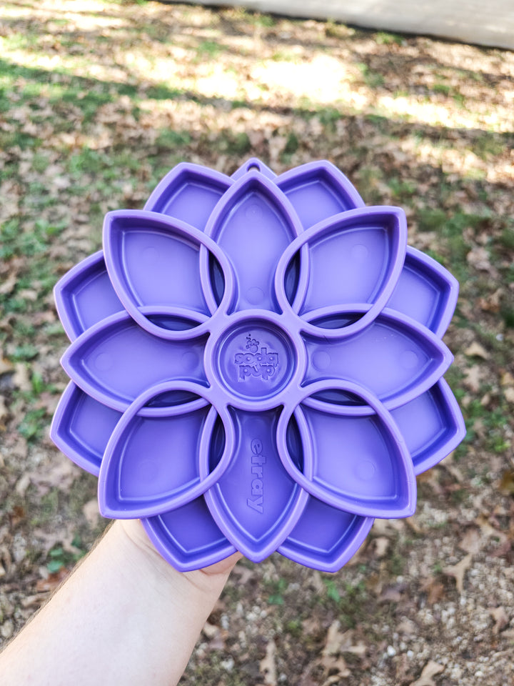SodaPup - Mandala Design Etray Enrichment 🌸 / Choose Your Color