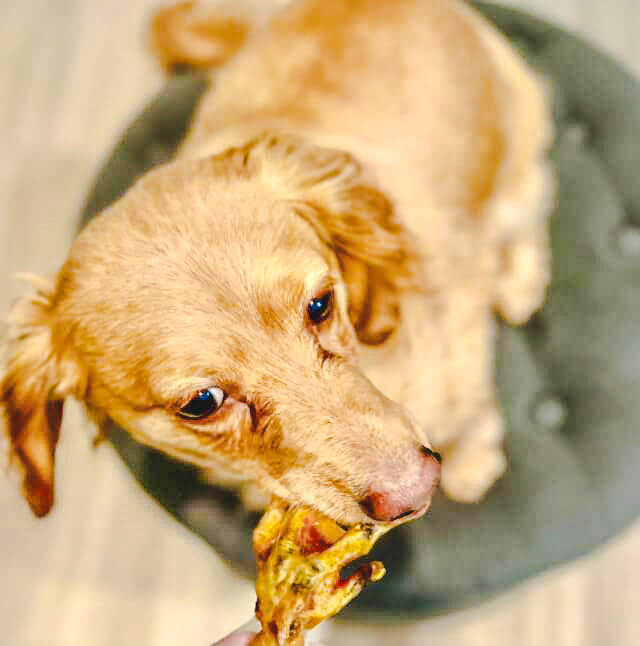 Chicken Feet 🐔 / 5oz