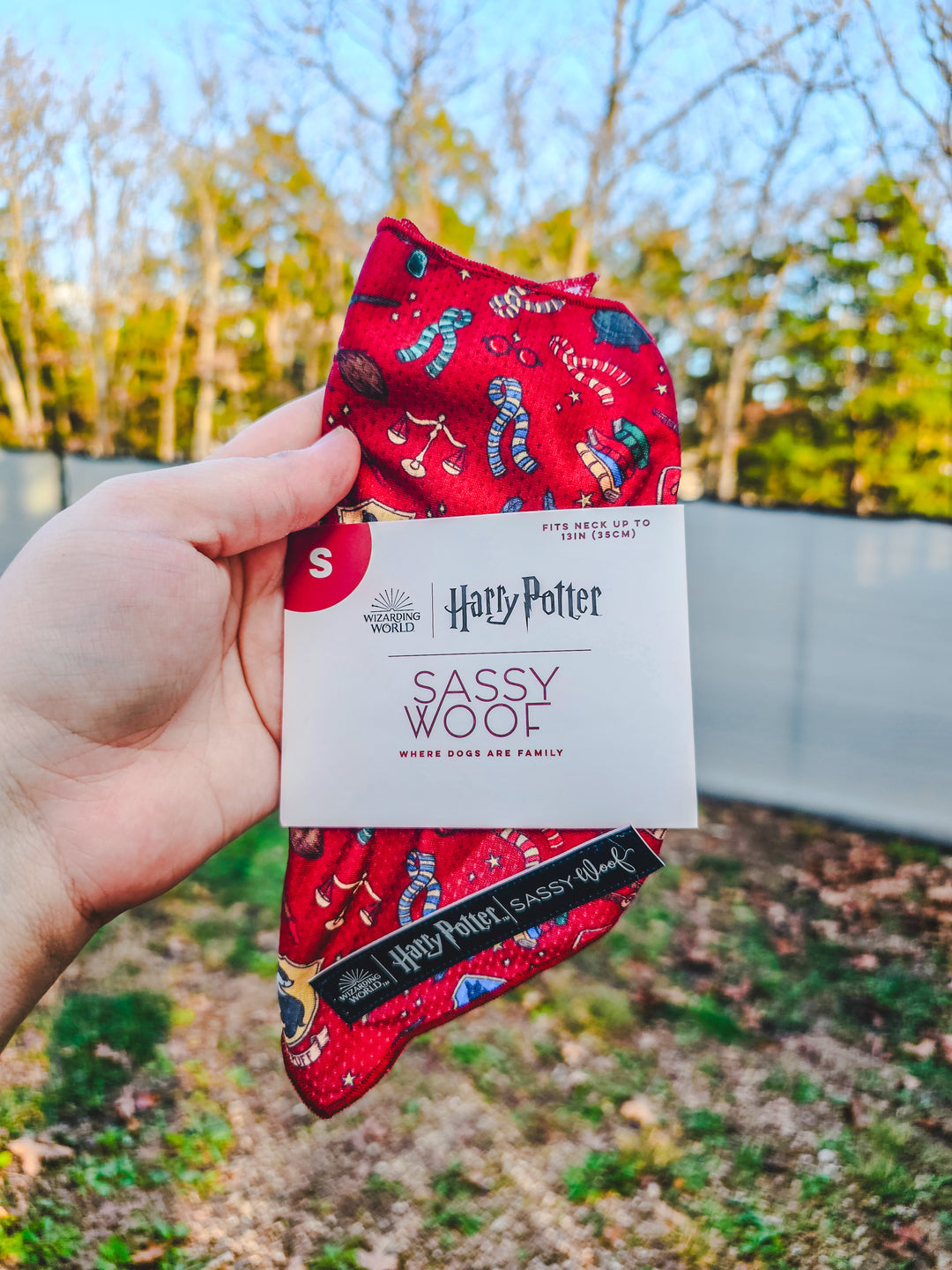 Sassy Woof - Harry Pawter Collection Bandana