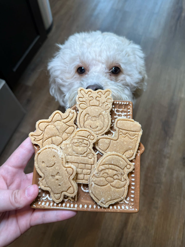 Christmas Joy 😊 / 6 count