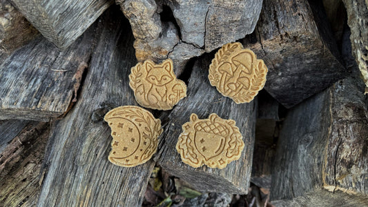 Enchanted Forest / 4 count