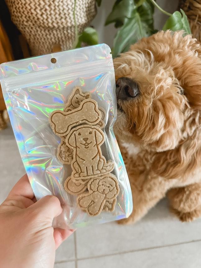 Doggos 🐶 / 8 count