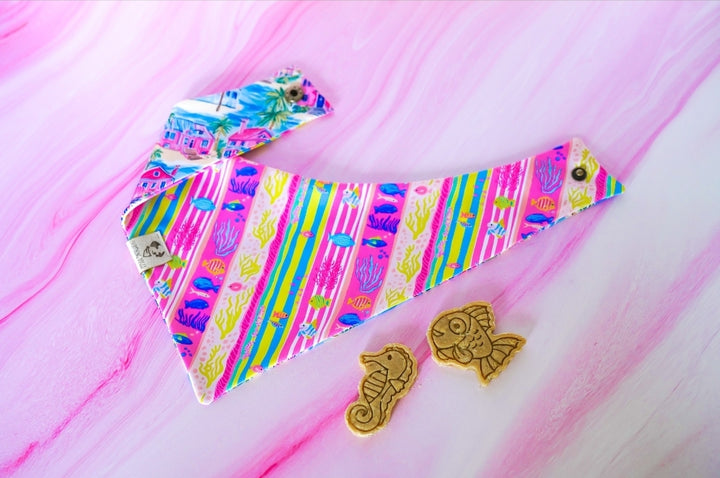 Ocean Fun 🦈 / 8 count