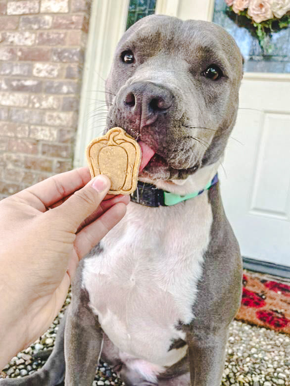 Farm Fresh Produce 🥕 / 8 count