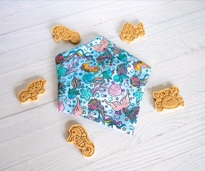 Ocean Fun 🦈 / 8 count