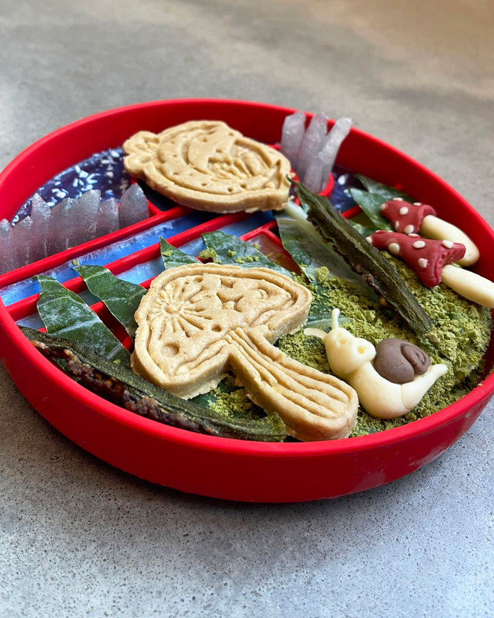 Fairytale Magic 🔮 / 5 count