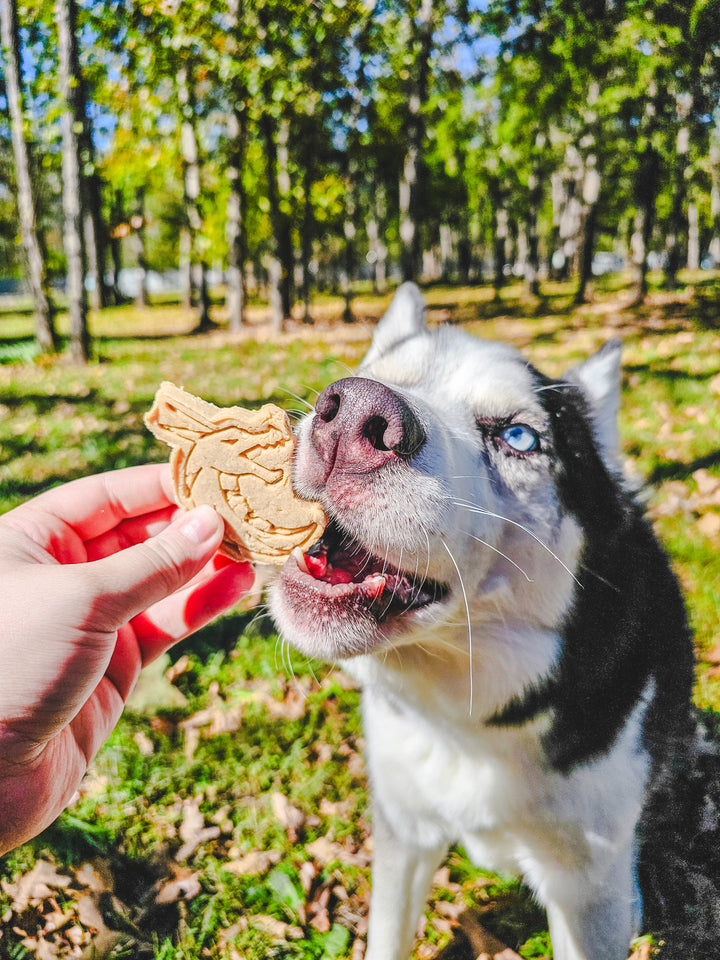 Howl to the Dragon 🐲 / 4 count