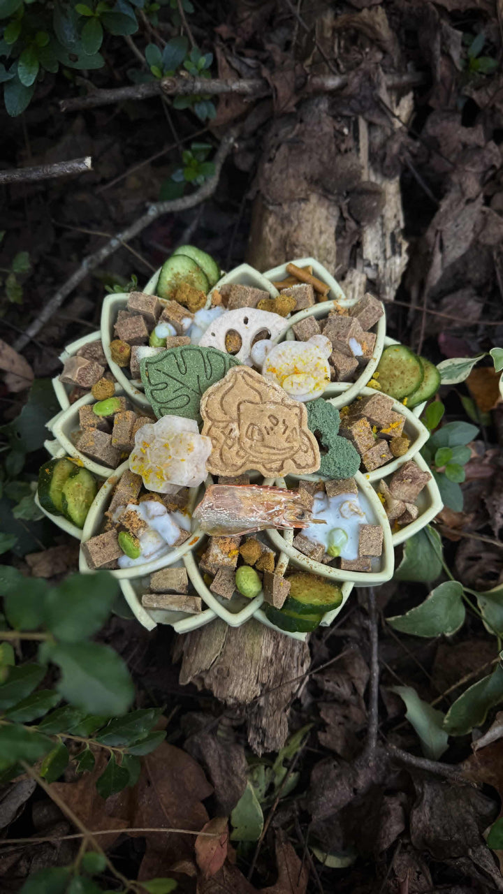 Gotta Chew Em All 🐾 / 8 count